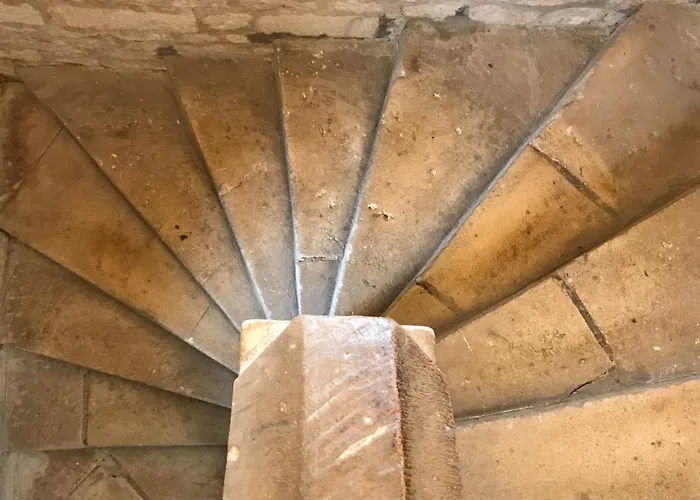 Abbot'S Wing